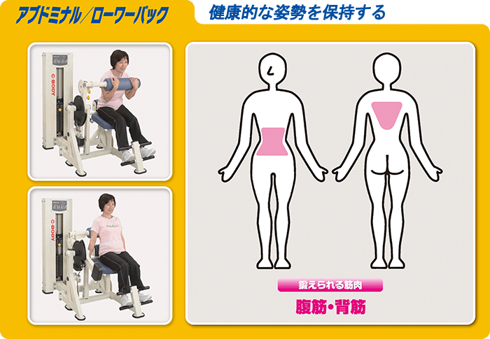 ウェイトスタックマシン アブドミナル/ローワーバック